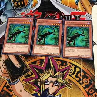 カゲトカゲ PHSW 5 レア 3枚セット てら