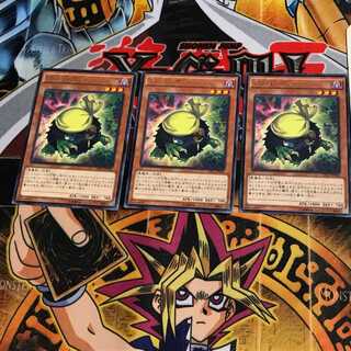 Kuribandit CPL1 8 Rare Set of 3 Tera