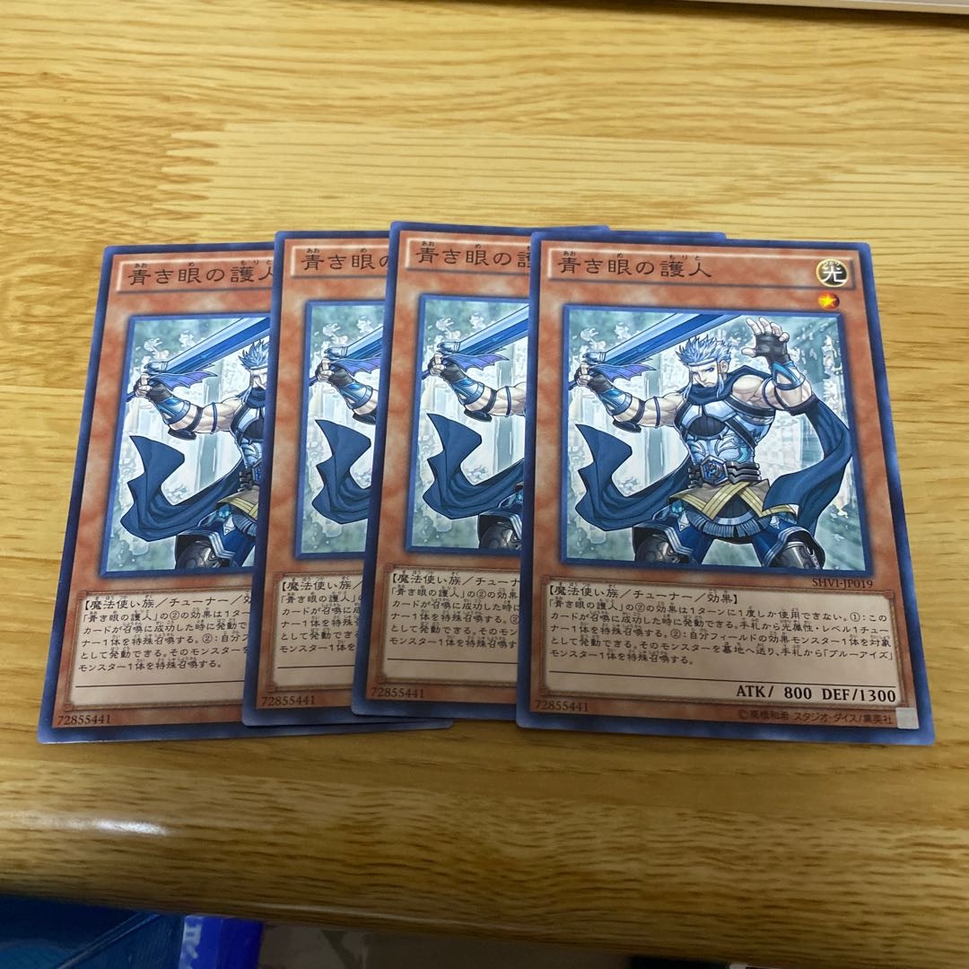 青き眼の護人 N