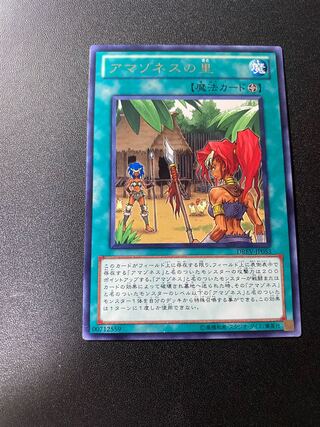 アマゾネスの里 ノーマル JP014