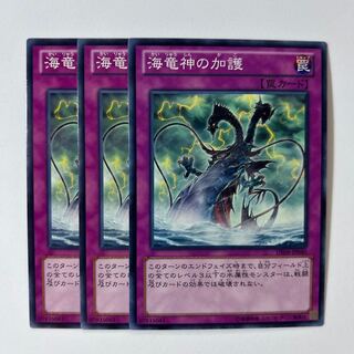 11116 海竜神の加護 ノーマル JP040