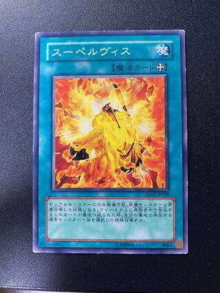 スーペルヴィス ノーマル JP024