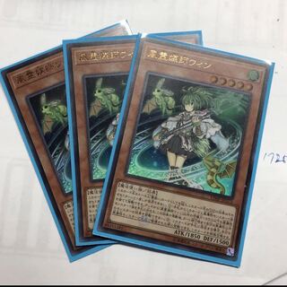 風霊媒師ウィン