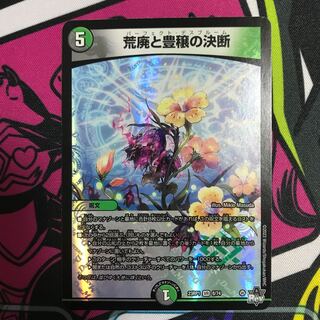 Blight and Abundance Decision VR 8/74