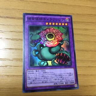 捕食植物キメラフレシア SR