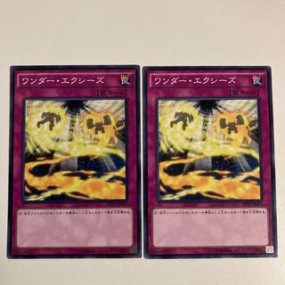 ワンダー・エクシーズ ノーマル JP076