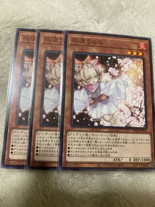 Ash Blossom & Joyous Spring Normal 3