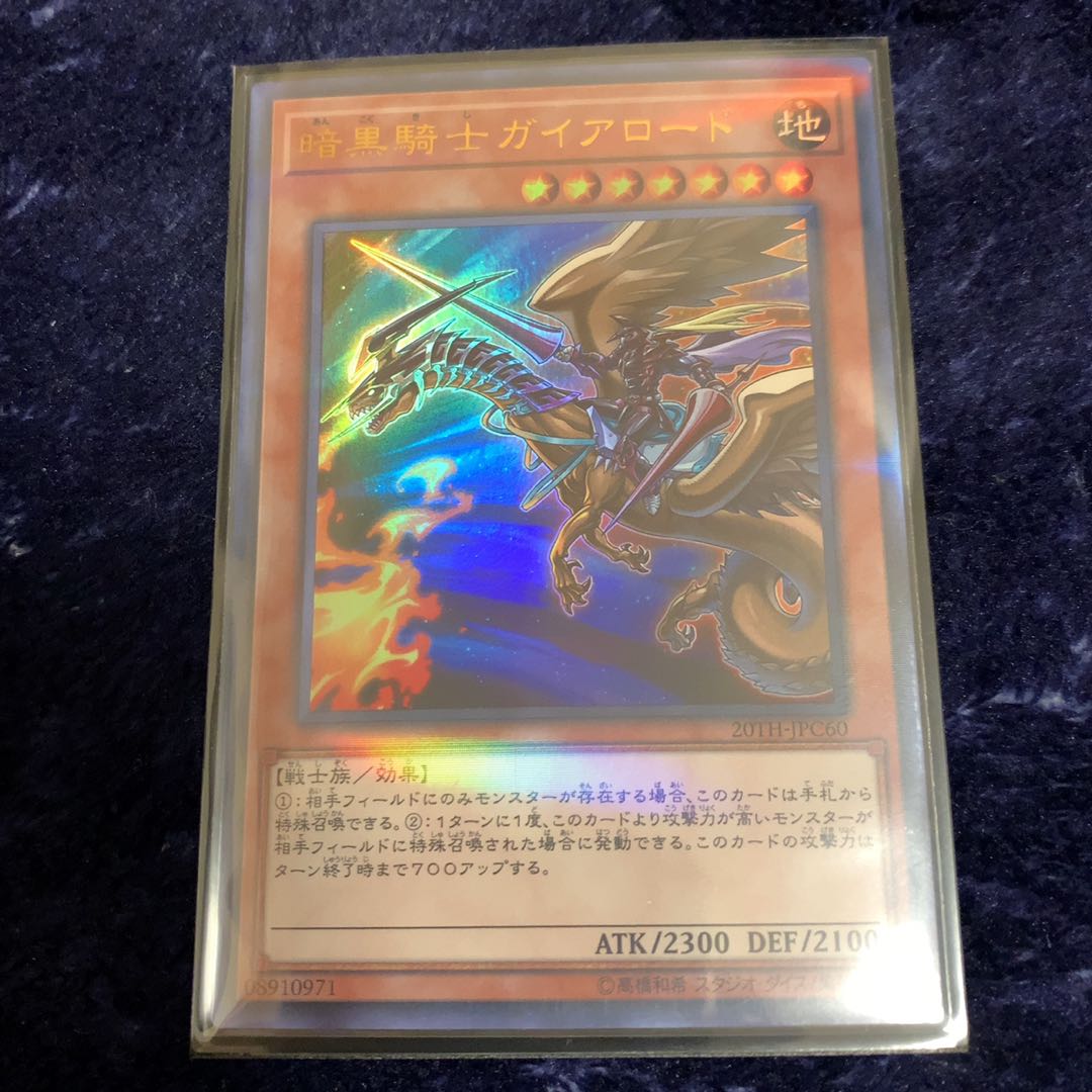 No.483_暗黒騎士ガイアロード