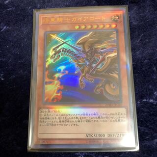 No.483_暗黒騎士ガイアロード