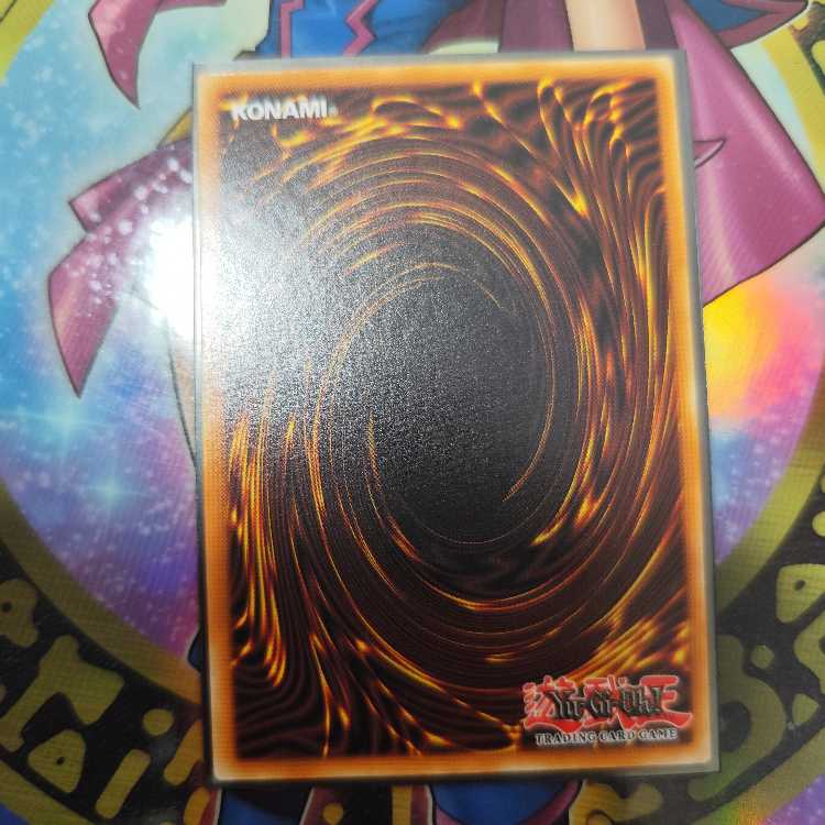 Dinowrestler Pankratops 25th