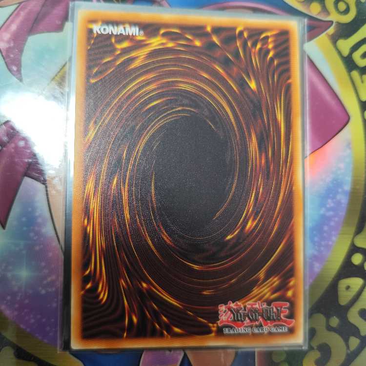 光と闇の竜 25th 海外版　と　イレカエル　プラチナシク