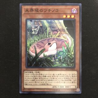 未界域のツチノコ　スーパー　1枚