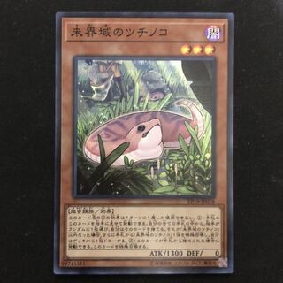 未界域のツチノコ　スーパー　1枚