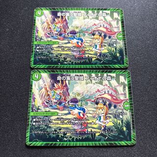 Forest of Fiona, the sanctuary where life gathers [R] {23EX256/112} [Nature