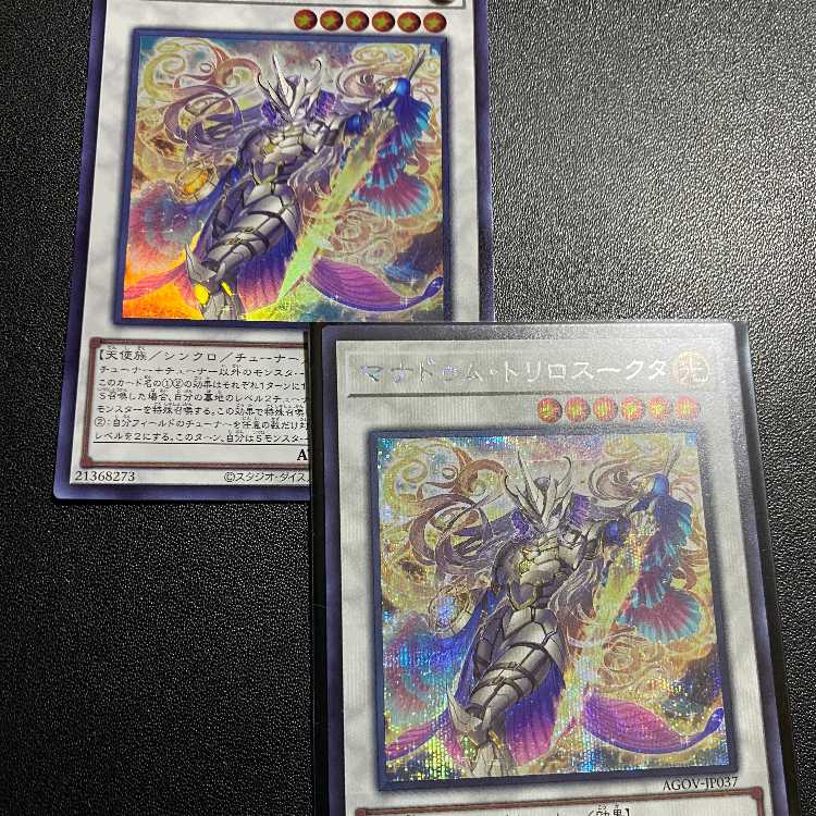 SE&SR Manadum Triloskuta AGE OF OVERLORD Yu-Gi-Oh OCG