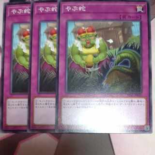 やぶ蛇 ノーマル