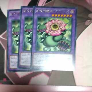 Predaplant Chimerafflesia Rare JP072