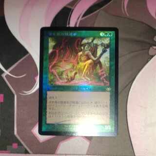 深き森の隠遁者　旧枠Foil