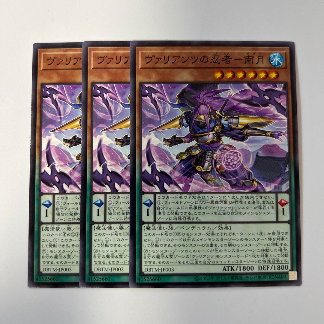 11164 Ninja of the Valiants - Nanzuki *463