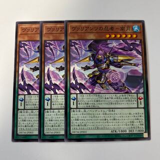 11165 ヴァリアンツの忍者-南月 ノーマル JP003