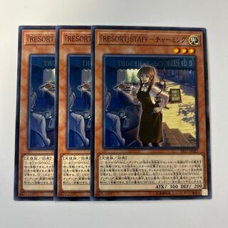 11166 「RESORT」STAFF-チャーミング ノーマル JP025