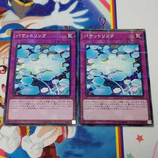 パケットリンク P-N 1枚