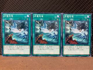 【ぽぽたん】遊戯王 9170 牙竜咆哮 3枚 ノーマル