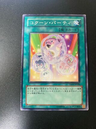 コクーン・パーティ ノーマル JP048