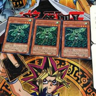 フォーチュンレディ・ウインディー SOVR 7 レア 3枚セット てら