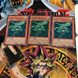 フォーチュンレディ・ウインディー SOVR 8 レア 3枚セット てら