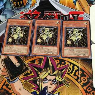 Fortune Lady Light ANPR 8 Rare Set of 3 Tera.