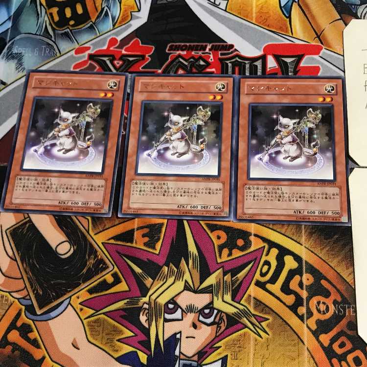 マジキャット ANPR 8 レア 3枚セット てら