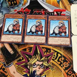 レスキューフェレット COTD 7 レア 3枚セット てら