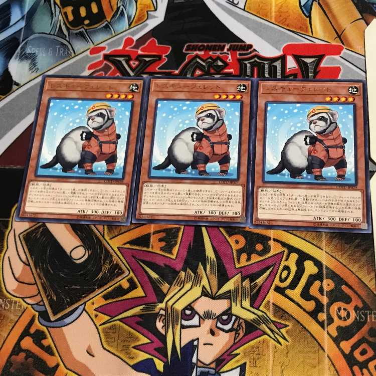 レスキューフェレット COTD 8 レア 3枚セット てら