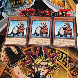 レスキューフェレット COTD 8 レア 3枚セット てら