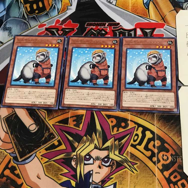 レスキューフェレット COTD 10 レア 3枚セット てら
