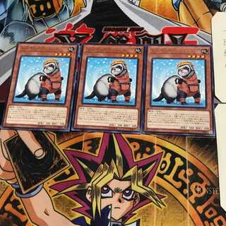 レスキューフェレット COTD 10 レア 3枚セット てら