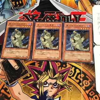 D.D. Survivor TLM 10 rare, set of 3 Tera.