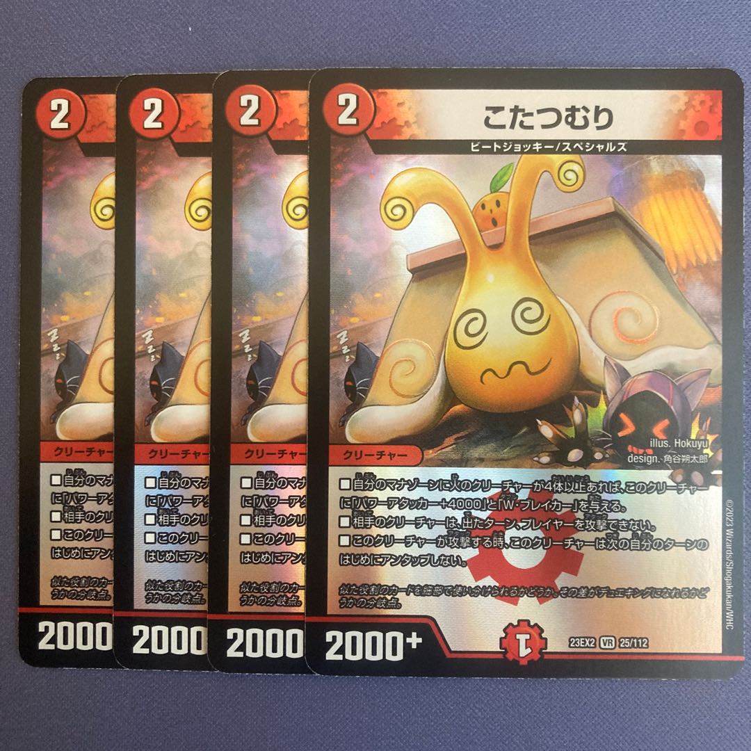 someone who curls up under a kotatsu all winter