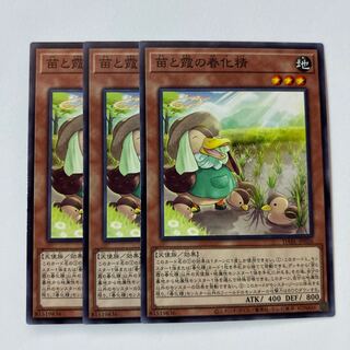 苗と霞の春化精 ＊483