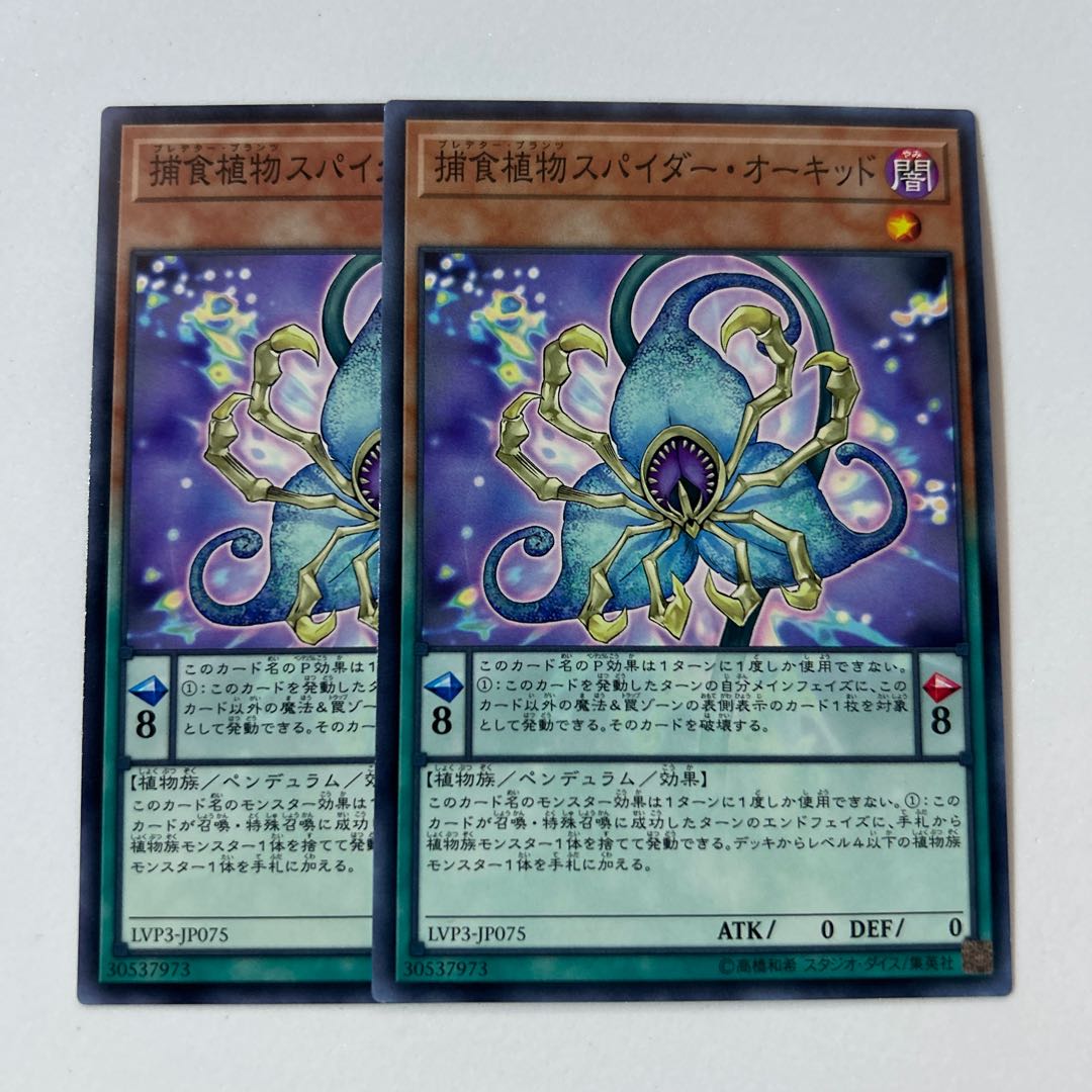 Predaplant Spider Orchid *499