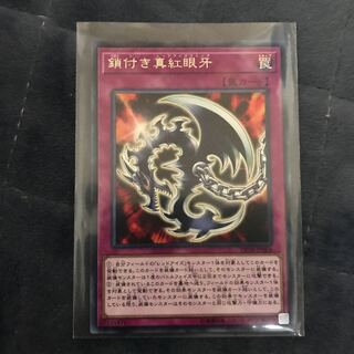 鎖付き真紅眼牙 R