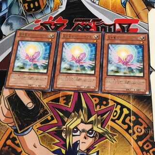 救世竜 セイヴァー・ドラゴン SOVR 6 レア 3枚セット てら