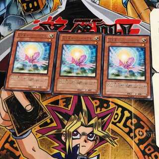 救世竜 セイヴァー・ドラゴン SOVR 7 レア 3枚セット てら