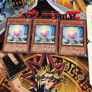 救世竜 セイヴァー・ドラゴン SOVR 8 レア 3枚セット てら