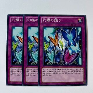 11196 Butterspy Protection *510