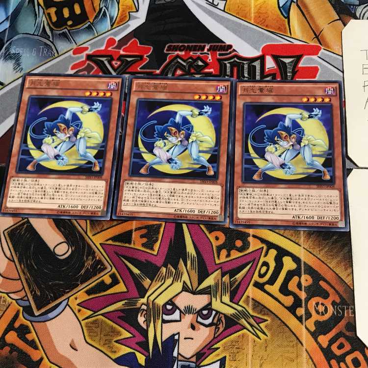 月光蒼猫 SHVI 9 レア 3枚セット てら