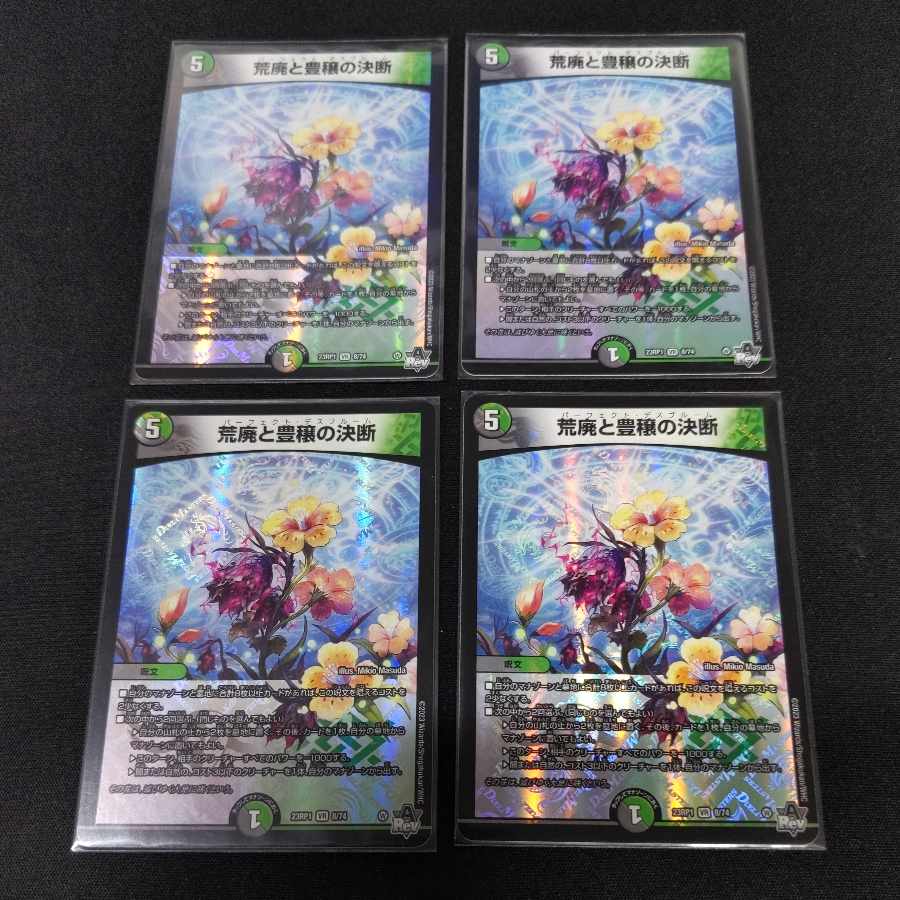 荒廃と豊穣の決断 VR 8/74