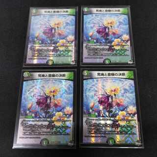 荒廃と豊穣の決断 VR 8/74