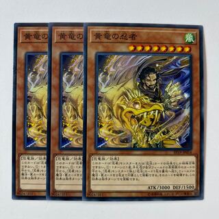 11201 黄竜の忍者 ノーマル JP054